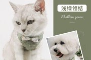 幼狗何时可开始外出散步？（重要的成长阶段和准备工作）