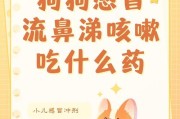 50多天的狗狗饮食指南（为您的狗狗提供最佳营养）