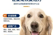 泰迪犬耳满的治疗药物及注意事项（选择合适的药物进行治疗，关注泰迪犬耳满的健康）