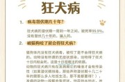 狗狂犬病的特征和防控措施（了解狂犬病，保护我们的爱宠）