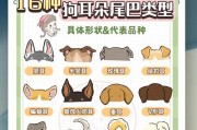 牧羊犬耳朵立起需要多久？（了解牧羊犬耳朵发育过程及常见问题）