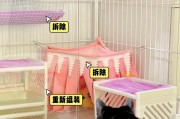 选择适宜的笼子养3只荷兰猪（荷兰猪的理想居住环境及养护要点）