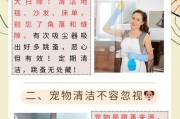 狗狗感染跳蚤怎么办？——有效解决狗狗跳蚤的偏方（天然方法快速消灭狗狗身上的跳蚤）