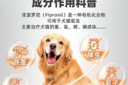 驱除狗狗身上的跳蚤的有效方法（私藏已久的驱蚤方法来了，让你的宠物远离跳蚤困扰）