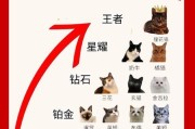 猫咪品种大全（探索不同品种猫咪的特点、历史和饲养要点）