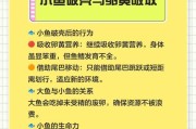 鹦鹉鱼的饮食习惯与虾的喂养频率（揭秘鹦鹉鱼对虾的喜爱程度及喂食策略）