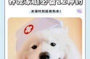 狗吃药死耗子的发作时间及影响因素（狗吃药死耗子的关键因素及时间推测）