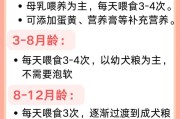 狗狗的饮食需求（不同体型的狗狗应该摄取多少食物？）