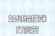 猫咪打疫苗时间长短的因素及注意事项（猫咪接种疫苗的影响因素及养护建议）