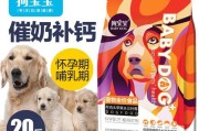 泰迪怀孕后不能吃什么？（保护宠物健康，知晓泰迪孕期禁食）