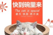 为什么猫吃饭前先磨爪（揭开猫咪磨爪的神秘面纱）