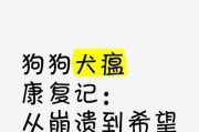 犬瘟（探秘犬瘟病毒的致命速度与关键阶段）