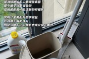 养狗家庭清洁大作战——轻松应对犬毛和污渍的方法（家庭清洁的秘诀和技巧，助你轻松应对养狗带来的挑战）