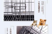 小金毛关笼子要交多久？（探究小金毛训练时间的关键因素）