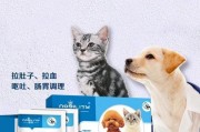 治疗五个月大泰迪狗拉稀的有效药物及护理方法（缓解泰迪狗拉稀的重要方法和）