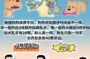 小狗出生后多久需要以奶为主要食物？（新生小狗何时开始喂奶？）