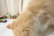 猫咪拉稀但精神良好的原因（猫咪偶尔拉稀可能是正常现象）