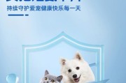 狗产后多久可以吃消炎药？（探究狗产后适合吃消炎药的时间和注意事项）