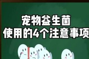 宠物生病的注意事项（如何照顾宠物在生病期间）