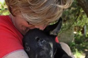 了解犬瘟和细小（掌握犬瘟和细小的主要症状及治疗方法）