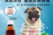 治疗狗皮肤病结疤的有效药物（选择适合的药物恢复狗狗健康）