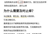 狗狗皮肤病的治疗药物及其效果（探索有效药物治疗狗狗皮肤病，呵护宠物健康）