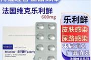 狗狗通长吃什么消炎药？（了解狗狗消炎药的关键知识）