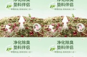 仓鼠为什么喜欢木屑？（探究仓鼠对木屑的喜爱和需求）