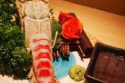 银龙的最佳饮食选择（科学喂养让银龙健康成长）