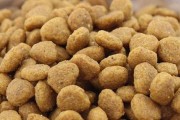 3月泰迪的美食日记（探索泰迪宝宝的最爱美食）