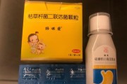 狗吃完吐了该给它吃什么药？（了解狗吐后用药的正确方法，让你的宠物健康无忧。）