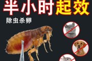 解决宠物猫跳蚤问题的药物选择（选择合适的药物治疗宠物猫的跳蚤问题）