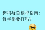 小狗疫苗接种时间表及注意事项（宠物狗疫苗接种的重要性与科学安排）