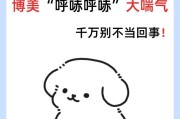 博美为什么会一直喘气？（探讨博美喘气现象的原因和解决办法）