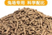 幼兔喝什么奶？如何科学喂养幼兔？（揭秘小兔子的饮食需求和喂养技巧）