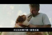 以德牧何时换胎毛？（胎毛的生长周期、换毛的适宜时机和相关注意事项）