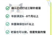 母猫绝育手术（绝育手术后多久可以拆线？拆线前后需要注意什么？）