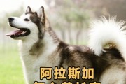 揭秘阿拉斯加独特的长眠之谜（解析阿拉斯加长眠现象，一探神秘生物的生存奥秘）
