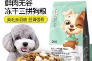 泰迪狗的饮食习惯及其他可供选择的食物（丰富泰迪狗的饮食，让它健康快乐成长）