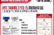 狗狗的第一针疫苗，保护它的健康未来！（养狗初学者必读，打疫苗是宠物健康的第一步！）