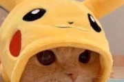 揭秘猫咪到处咬东西的原因（了解猫咪咬东西的行为背后隐藏的秘密）