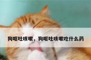 如何处理狗狗容易呕吐的问题（探索狗狗呕吐原因和应对方法）