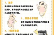 狗需要多久才能生宝宝？（探究狗繁殖周期及其影响因素）