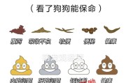 狗狗拉肚子的原因及预防措施（了解为什么狗狗会拉肚子，保护它们的健康）