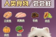 狗狗后多久可以进食？（了解后的进食时间和注意事项）