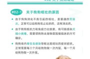 狗得肠胃炎，康复需要多长时间？（探讨狗得肠胃炎康复时间及关键因素）