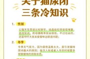 猫咪只尿不拉屎怎么办？（了解猫咪只排尿不排便的原因及解决方法）