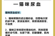 小猫拉稀带血治疗费用分析（了解小猫拉稀带血治疗所需费用及相应措施）