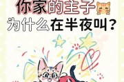揭秘猫咪为何总是叫个不停（探究猫咪叫声的原因及解决方法）