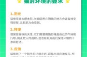 养狗的必备条件——为你的宠物提供最佳生活环境（养狗需要哪些条件？了解这些，给你的狗狗一个幸福的家）